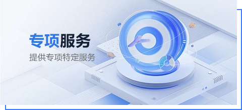 专项服务